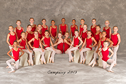Company 2013